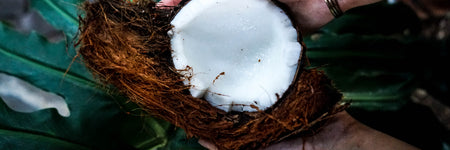 The Many Benefits of Coconut Oil