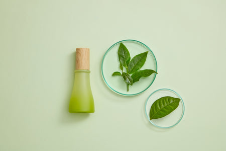radiance on the rise: the green tea beauty revolution