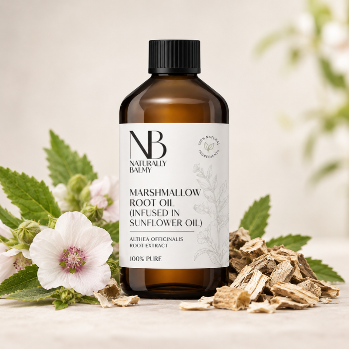 Marshmallow Root Oil (Infused in Sunflower Oil)
