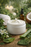 Organic Botanical Body Cream
