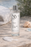 Pure Micellar Waters