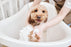 PawLuxe Gentle Dog Shampoo - Lavender & Chamomile