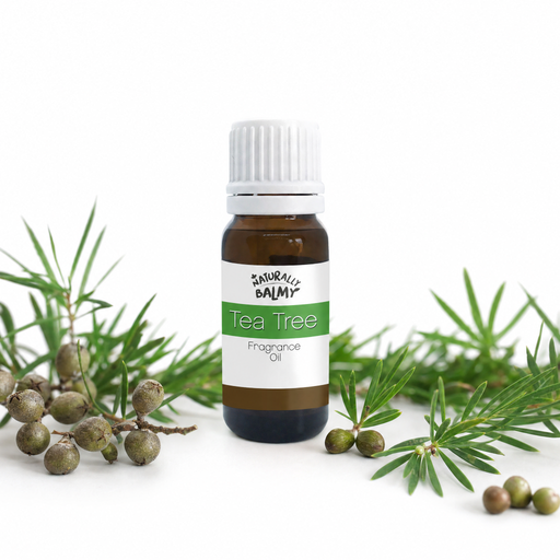 Tea Tree Fragrance Oil