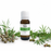 Tea Tree Fragrance Oil