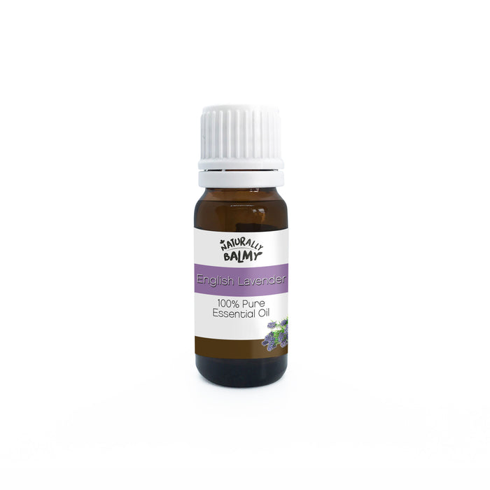 Lavender Essential Oil (English)