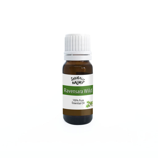 Ravensara Wild Essential Oil